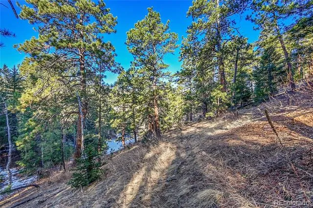 27292 Ridge Trail Conifer, CO 80433