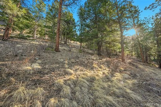 27292 Ridge Trail Conifer, CO 80433