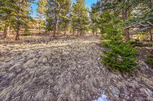 27292 Ridge Trail Conifer, CO 80433