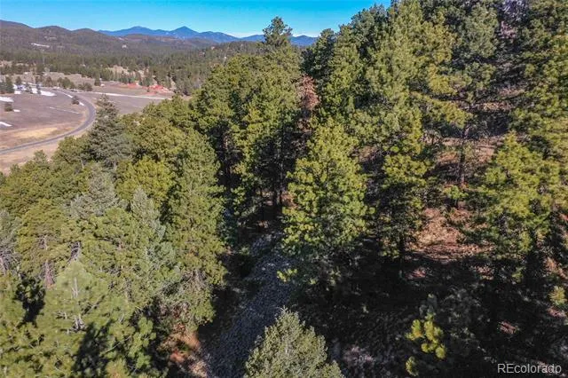 27292 Ridge Trail Conifer, CO 80433
