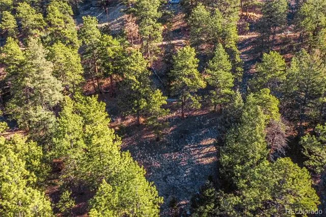 27292 Ridge Trail Conifer, CO 80433