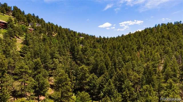27292 Ridge Trail Conifer, CO 80433