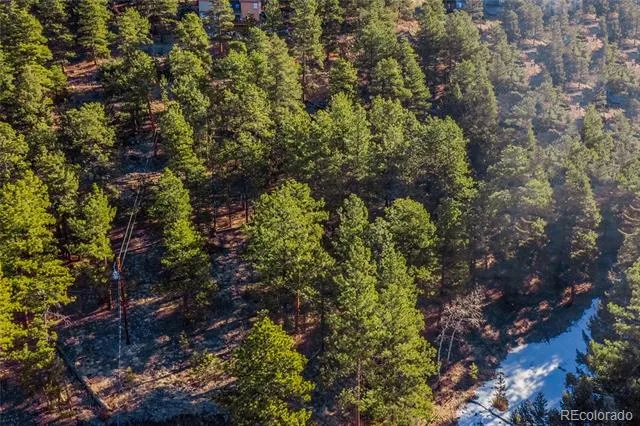 27292 Ridge Trail Conifer, CO 80433