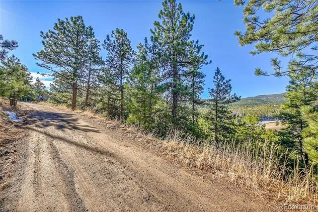 27292 Ridge Trail Conifer, CO 80433