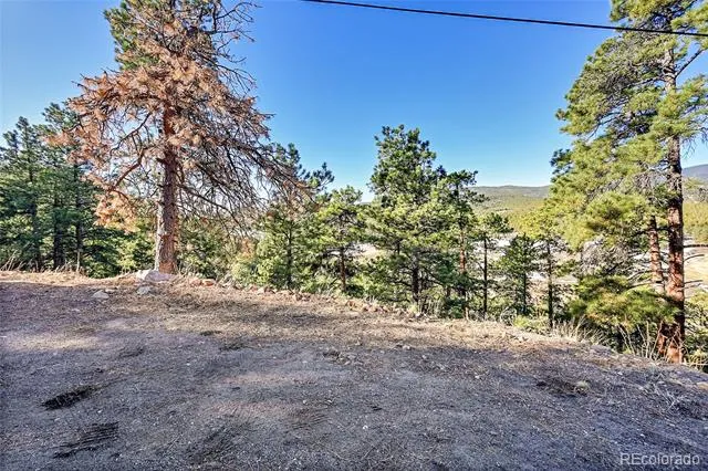 27292 Ridge Trail Conifer, CO 80433