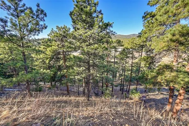 27292 Ridge Trail Conifer, CO 80433