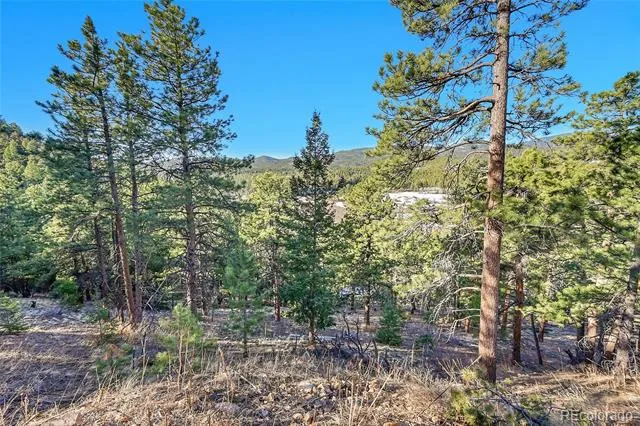 27292 Ridge Trail Conifer, CO 80433