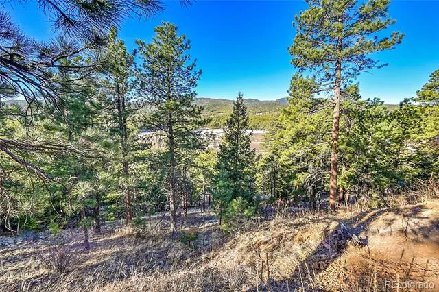 27292 Ridge Trail Conifer, CO 80433