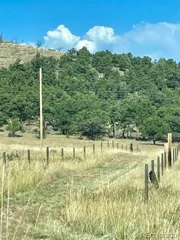 1971 County Road 27a Cotopaxi, CO 81223