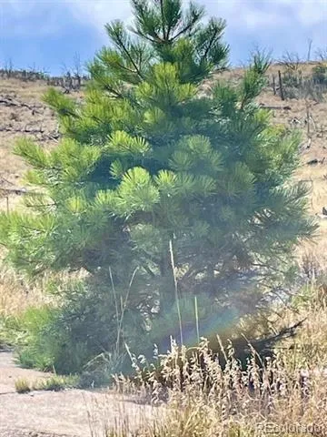 1971 County Road 27a Cotopaxi, CO 81223