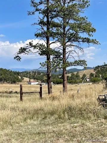 1971 County Road 27a Cotopaxi, CO 81223