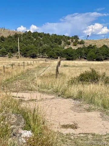 1971 County Road 27a Cotopaxi, CO 81223