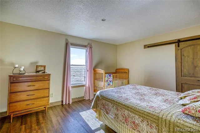 6729 County Road Dd.5 La Jara, CO 81140
