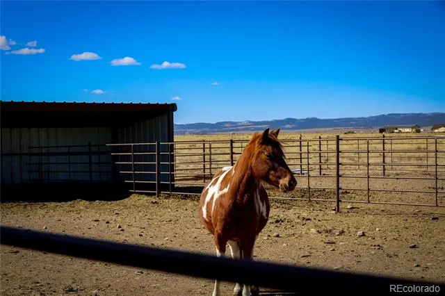 6729 County Road Dd.5 La Jara, CO 81140