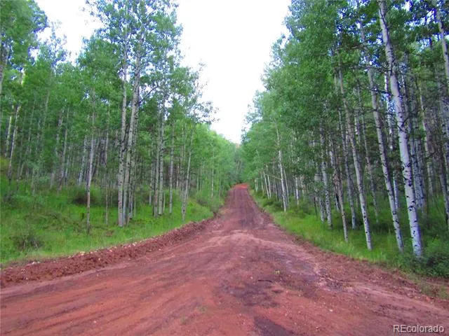 LOT 6324 Barbara Road San Luis, CO 81152
