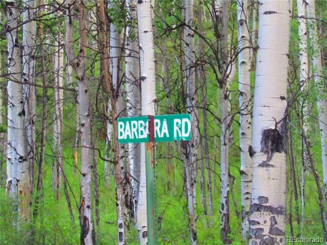 LOT 6324 Barbara Road San Luis, CO 81152