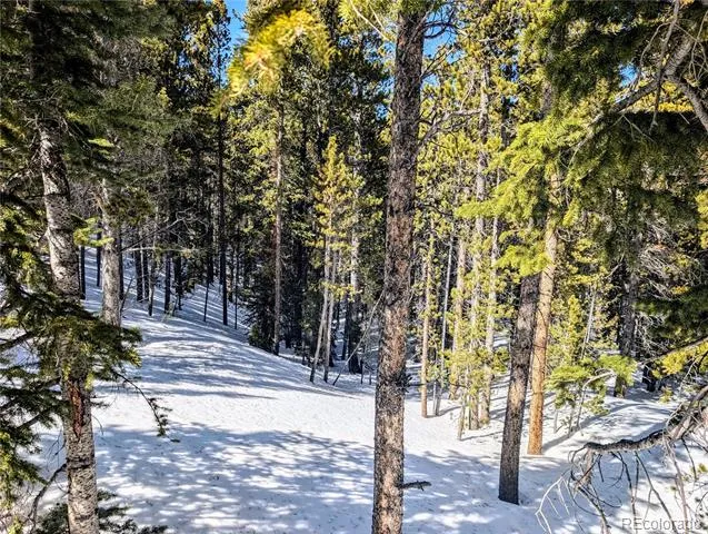 Lot 234 Alice Road Idaho Springs, CO 80453