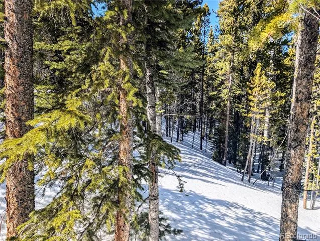 Lot 234 Alice Road Idaho Springs, CO 80453