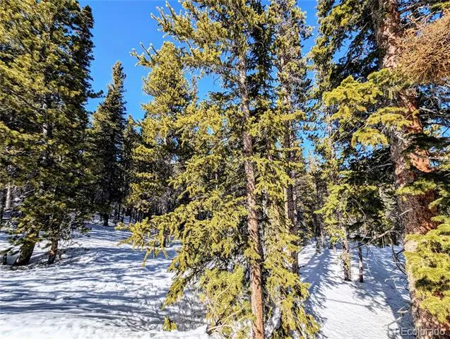 Lot 234 Alice Road Idaho Springs, CO 80453