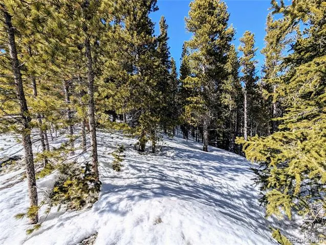 Lot 234 Alice Road Idaho Springs, CO 80453