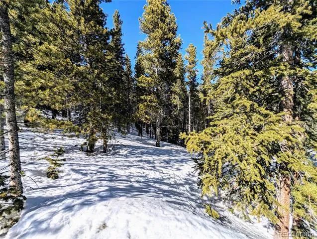 Lot 234 Alice Road Idaho Springs, CO 80453