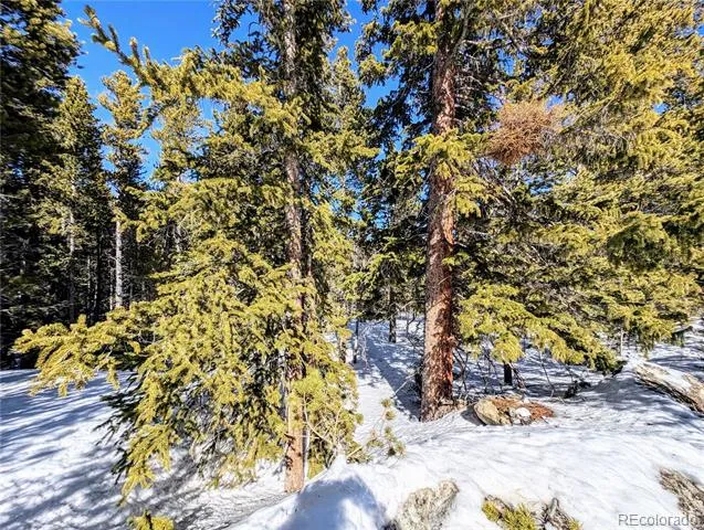 Lot 234 Alice Road Idaho Springs, CO 80453