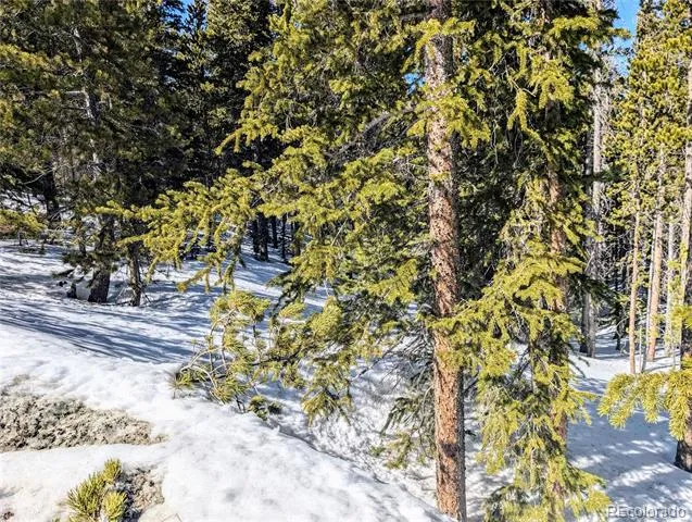 Lot 234 Alice Road Idaho Springs, CO 80453