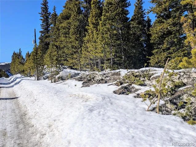 Lot 234 Alice Road Idaho Springs, CO 80453