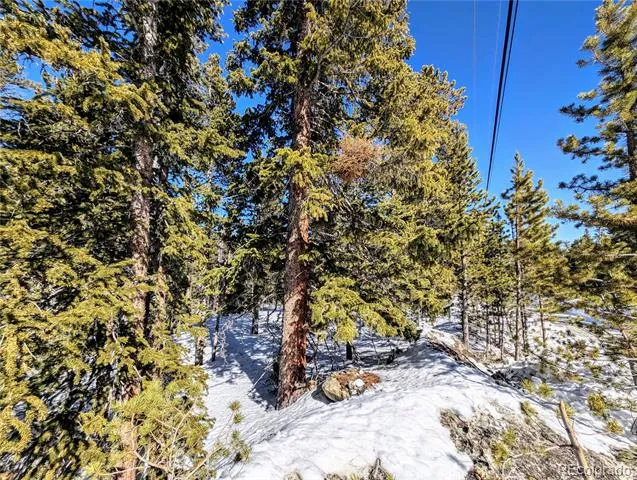 Lot 234 Alice Road Idaho Springs, CO 80453