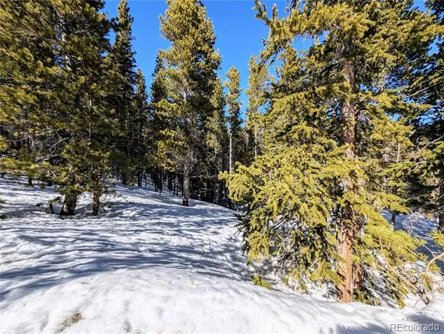 Lot 234 Alice Road Idaho Springs, CO 80453