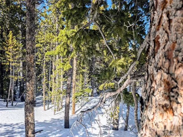 Lot 234 Alice Road Idaho Springs, CO 80453