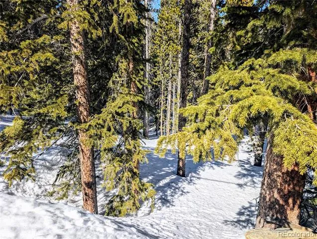 Lot 234 Alice Road Idaho Springs, CO 80453