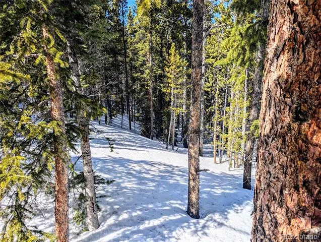 Lot 234 Alice Road Idaho Springs, CO 80453