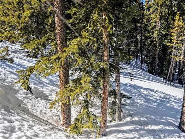 Lot 234 Alice Road Idaho Springs, CO 80453