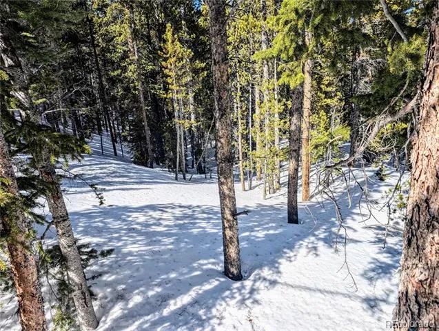 Lot 234 Alice Road Idaho Springs, CO 80453