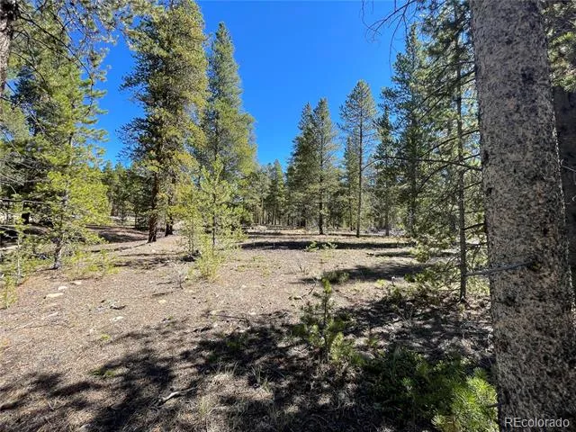 100 Virginia Avenue Leadville, CO 80461