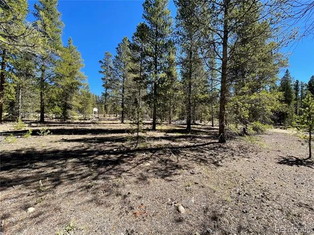 100 Virginia Avenue Leadville, CO 80461