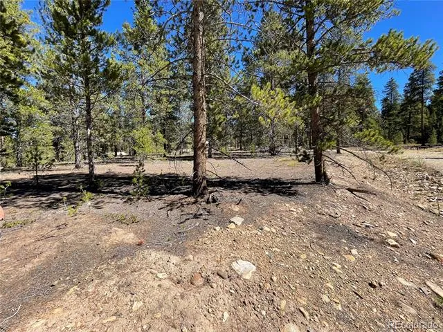 100 Virginia Avenue Leadville, CO 80461