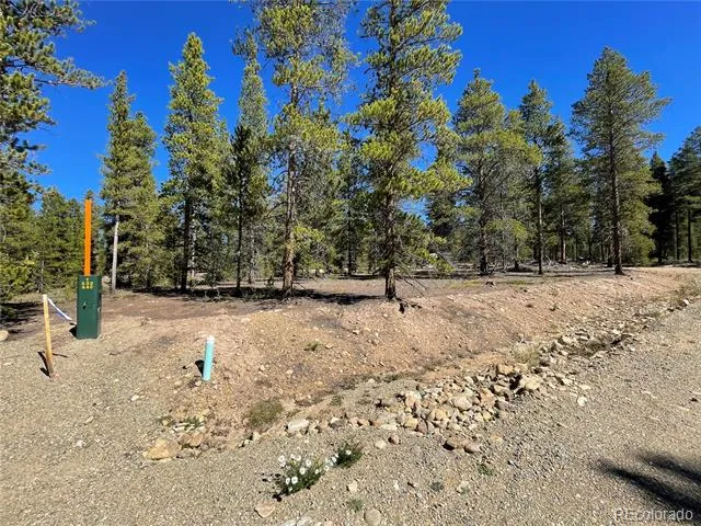 100 Virginia Avenue Leadville, CO 80461