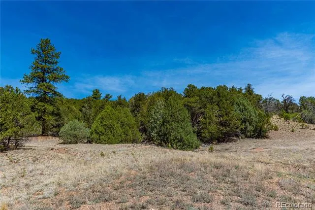 TBD L Arnold Drive Cotopaxi, CO 81223