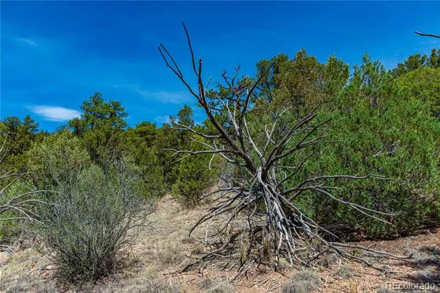 TBD L Arnold Drive Cotopaxi, CO 81223