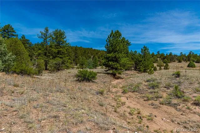 TBD L Arnold Drive Cotopaxi, CO 81223