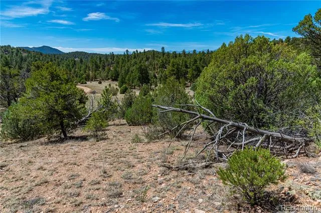 TBD L Arnold Drive Cotopaxi, CO 81223