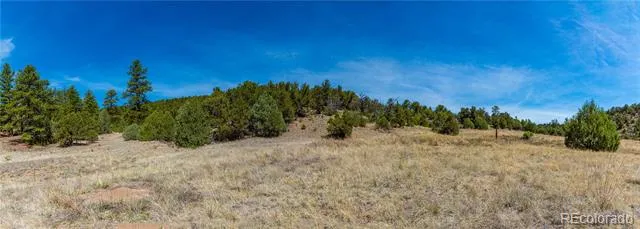 TBD L Arnold Drive Cotopaxi, CO 81223