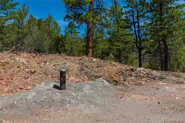 TBD L Arnold Drive Cotopaxi, CO 81223