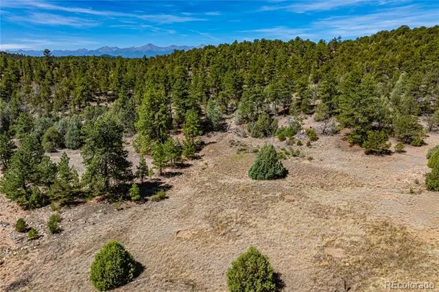 TBD L Arnold Drive Cotopaxi, CO 81223