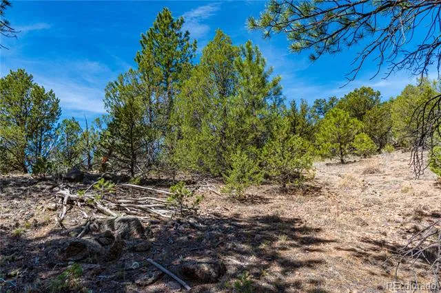 TBD L Arnold Drive Cotopaxi, CO 81223
