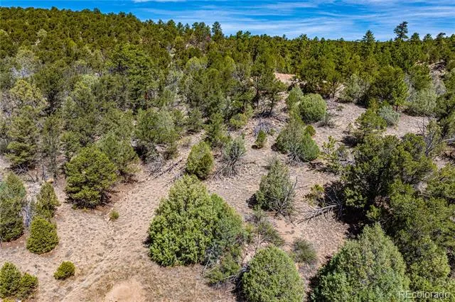 TBD L Arnold Drive Cotopaxi, CO 81223