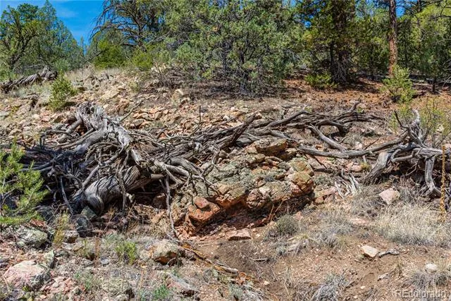 TBD L Arnold Drive Cotopaxi, CO 81223