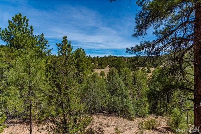 TBD L Arnold Drive Cotopaxi, CO 81223